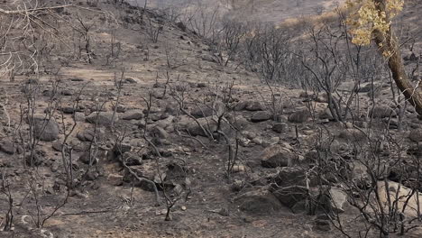 Fairview-Fire-aftermath-mountain-landscape-in-Hemet,-California,-USA,-September-2022