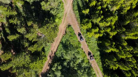 People-on-quad-bikes-riding-on-dirt-trail-through-green-forest,-top-down