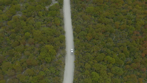 Hochfliegende-Luftaufnahme-Eines-Einsamen-Lastwagens,-Der-Durch-Den-Dschungel-Argentiniens-Fährt