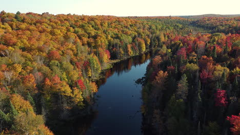 Ruhiger-Fluss-Durch-Bäume-Im-Herbstlaub-In-Einem-Naturpark-In-Ontario,-Kanada