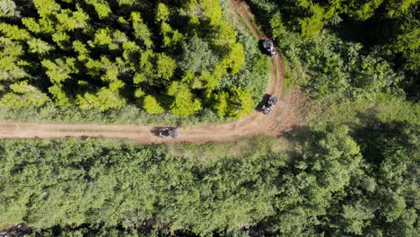 Off-road-dirt-trail-in-forest-with-quad-bikes,-recreational-activity,-top-down