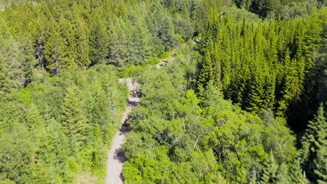Group-of-friends-on-quadbikes-riding-through-lush-green-forest,-aerial