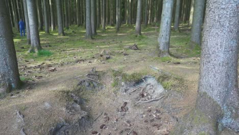 Schützenlöcher-Des-Zweiten-Weltkriegs-Im-Wald-Außerhalb-Von-Bastogne,-Belgien
