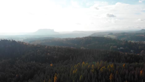 Coniferous-forests-in-Saxon-Switzerland-mountains-in-autumn-haze