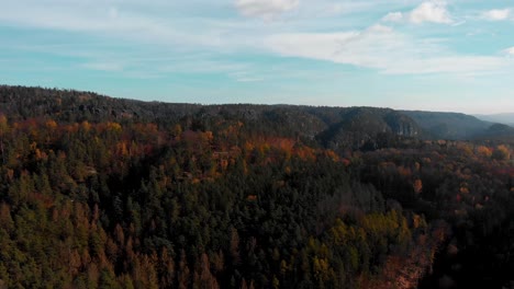 Vast-autumn-coniferous-forest-in-mountains,-Saxon-Switzerland,-Germany