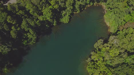 Calm-Waters-And-Rainforest-In-Lake-Eacham,-Atherton-Tableland,-Queensland,-Australia---aerial-top-down