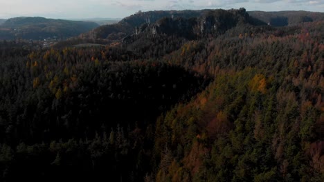 Coniferous-forest-and-mountains-in-Saxon-Switzerland-National-Park