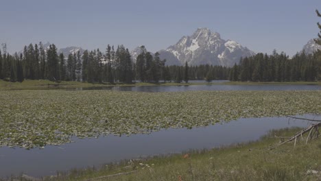 Schwenk-über-Einen-Kleinen-Teich-Und-Berge-Im-Westen-Von-Wyoming