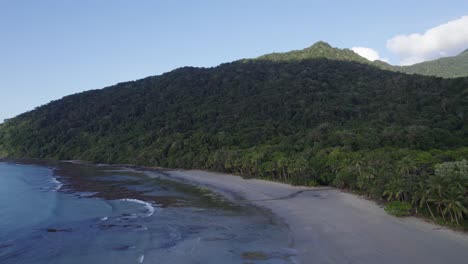 Dense-Thicket-In-Tropical-Mountains-Of-Daintree-National-Park,-Cape-Tribulation,-QLD-Australia