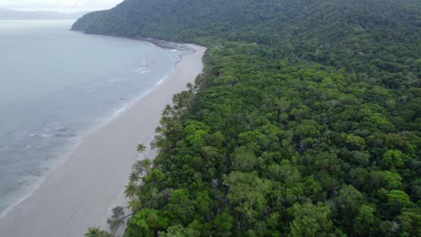 Aerial-View-Of-Beach-And-Jungle-In-The-Daintree-National-Park,-Far-North-Queensland,-Australia---drone-shot