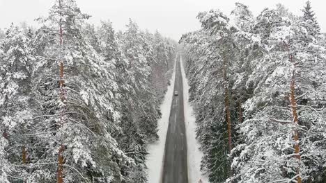 Lonely-car-driving-on-forest-road-in-winter-season,-aerial-view