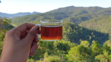 Cinematic-close-up-shot-of-tea-while-having-green-hills-covered-by-forest-in-the-background