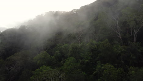 Atemberaubende-Luftaufnahme-Von-Nebel,-Der-Aus-Dem-Feuchten-Regenwald-Aufsteigt