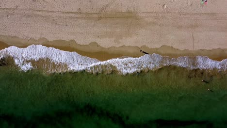 Green-waves-crash-on-to-sandy-beach,-only-a-few-people,-birds-eye-drone-aerial
