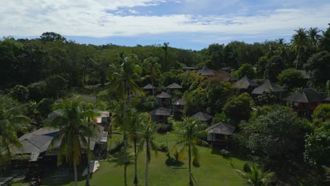 Small-huts-on-the-hillside,-coconut-palms