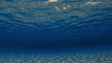 Amazing-under-water-scene-of-crystalline-turquoise-tropical-ocean-water-with-rippled-surface-and-reflections-on-seafloor-with-blue-background