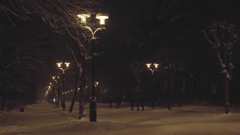 Winter-park-with-glowing-lamp-poles-during-snowfall,-static-view