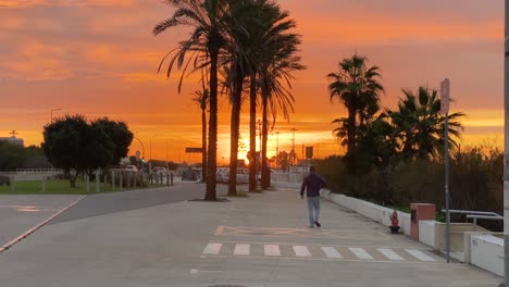 Beautiful-sunrise-revealed-from-palm-trees-with-silhouette-of-man-walking-in-car-parking