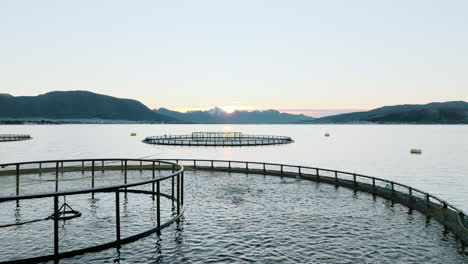 Typical-Norwegian-salmon-farm-with-circular-sea-cages,-Norway