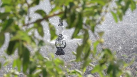 Water-Being-Sprayed-From-oscillating-head-attached-to-Center-Pivot-Irrigation-system-seen-through-Green-plants