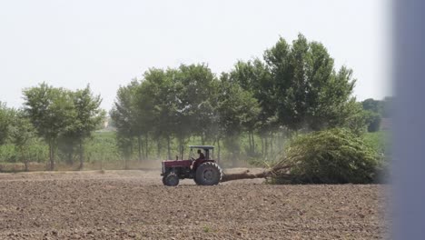 Tractor-Pulling-Tree-Across-Field-In-Punjab