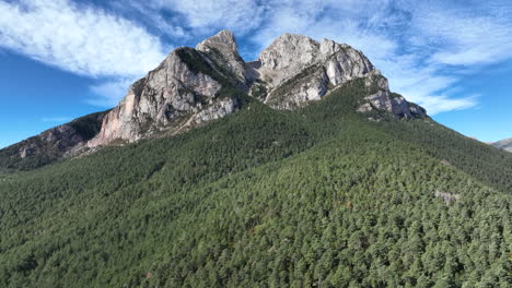 Majestic-Pedraforca-pine-forest-mountain-slope-aerial-view-looking-up-to-rocky-Pyrenees-peak