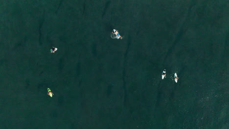 Surfistas-Esperando-Y-Tratando-De-Atrapar-Olas