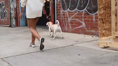 African-american-woman-going-for-a-walk-with-her-dog-pet-at-an-urban-and-industrial-area-in-the-city