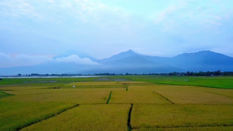 Drone-flyover-aerial-view-of-rice-fields-in-Indonesia-with-mountains-and-clouds