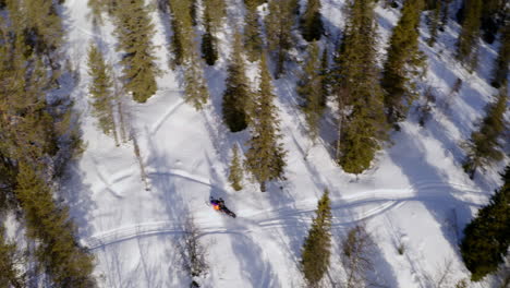 Snowmobile-speeding-through-snowy-arctic-circle-alpine-woodland-trail-aerial-Birdseye-view