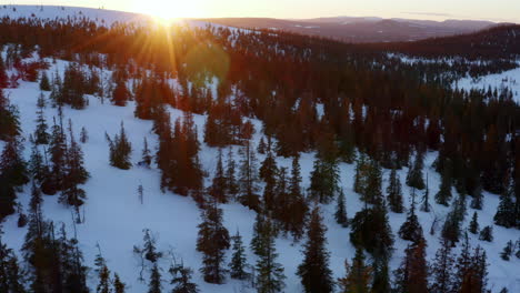 Aerial-view-following-snowmobiles-speeding-through-Norbotten-sunrise-alpine-woodland-in-Arctic-circle-adventure