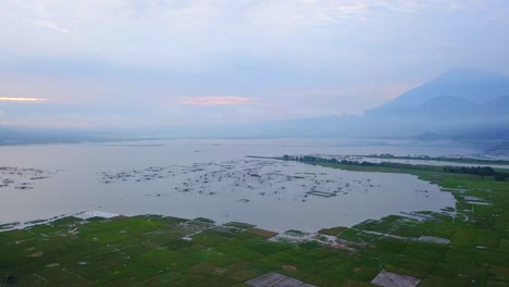 Drone-shot-of-huge-lake-with-fish-cage-surrounded-by-rice-fields-with-mountain-on-the-background-during-sunrise---Rawa-Pening-Lake,-Central-Java,-Indonesia