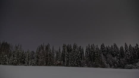 Time-lapse-of-snowy-pine-forest-in-huge-thunderstorm-in-dead-winter-night