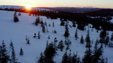 Snowmobiles-travelling-through-snowy-Lapland-frozen-alpine-woodland-wilderness-at-sunset