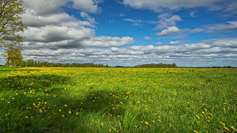 Rural-landscape,-yellow-blooming-meadow-and-majestic-cloudscape-flowing,-fusion-time-lapse