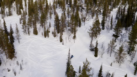 Snowmobile-speeding-through-snowy-Lapland-alpine-woodland-forest-aerial-view-top-down