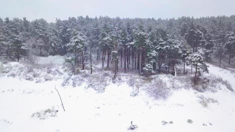 Beautiful-aerial-footage-of-trees-covered-with-snow,-light-snow-falling,-Nordic-woodland-pine-tree-forest,-Baltic-sea-coast,-wide-establishing-drone-shot-moving-backward