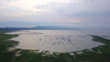Aerial-view-of-lake-with-fish-cage-surrounded-by-rice-fields-during-sunrise-sky---RAWA-PENING-LAKE,-INDONESIA