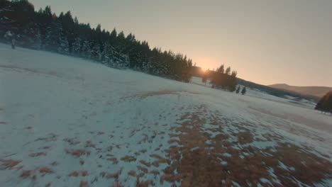 POV-of-drone-flying-through-a-pine-tree-forest-full-of-snow-during-winter-sunrise,-Cinematic-action-shot