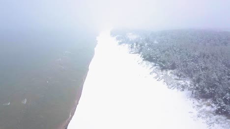 Beautiful-aerial-footage-of-trees-covered-with-snow,-light-snow-falling,-Nordic-woodland-pine-tree-forest,-Baltic-sea-coast,-wide-drone-shot-moving-backward