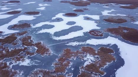 Aerial-birdseye-view-of-frozen-lake-Liepaja-during-the-winter,-blue-ice-with-cracks,-dry-yellowed-reed-islands,-overcast-winter-day,-wide-drone-shot-moving-backward