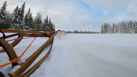 Low-angle-POV-husky-dog-sled-team-running-through-snowy-woodland-trail,-Lapland