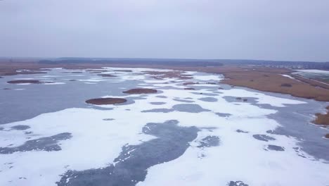 Aerial-view-of-frozen-lake-Liepaja-during-the-winter,-blue-ice-with-cracks,-dry-yellowed-reed-islands,-overcast-winter-day,-wide-drone-shot-moving-forward