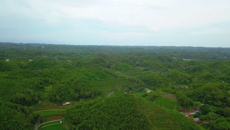 Aerial-view-of-small-hills-overgrown-with-dense-trees-of-forest-with-cloudy-sky