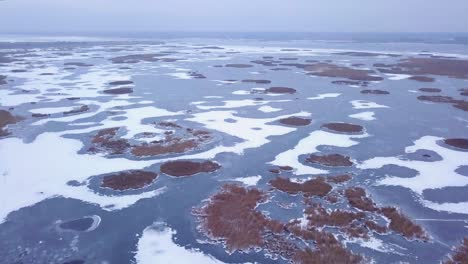 Aerial-view-of-frozen-lake-Liepaja-during-the-winter,-blue-ice-with-cracks,-dry-yellowed-reed-islands,-overcast-winter-day,-wide-drone-shot-moving-backward-with-camera-tilt-down