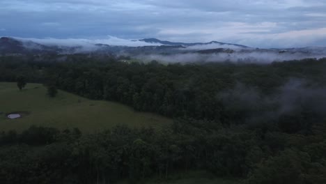 Bäume-In-Der-Landschaft-Von-Nambucca-Valley-Mit-Landschaft-In-Wolken-Gehüllt-Im-Hintergrund,-New-South-Wales,-Australien