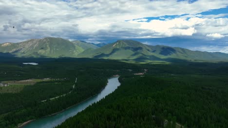 Bosque-Arbolado-De-Río-Flathead-Con-Crestas-En-El-Fondo-En-Montana
