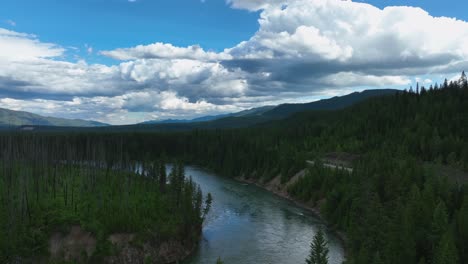 Coniferous-Forest-With-Flowing-River-Of-Flathead-Near-Glacier-National-Park-In-Montana