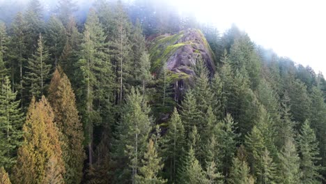 Roca-De-Cantera-En-Un-Día-De-Niebla-En-Cala-Profunda,-Vancouver-Del-Norte,-Toma-Escénica-De-La-Roca-Rodeada-De-Grandes-árboles