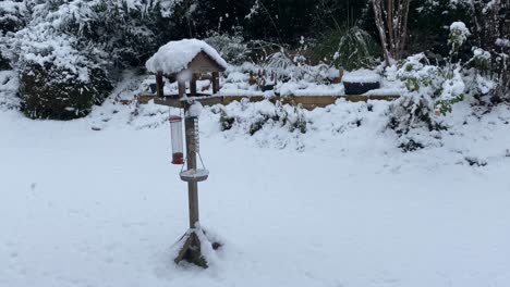 Bird-table-in-snowing-scene,-in-an-English-country-garden
